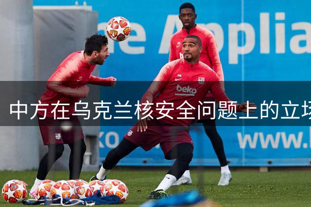 中方在乌克兰核安全问题上的立场解析