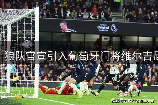 狼队官宣引入葡萄牙门将维尔吉尼亚