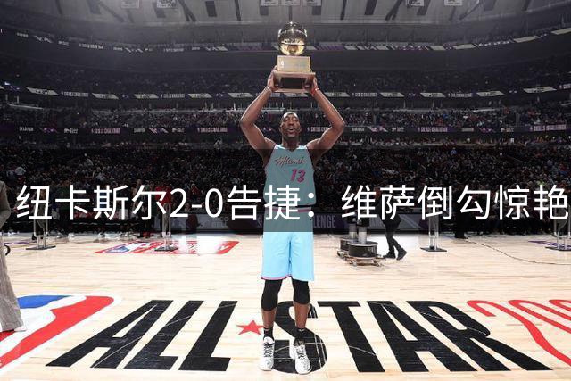 纽卡斯尔2-0告捷：维萨倒勾惊艳全场 马德贡献关键助攻